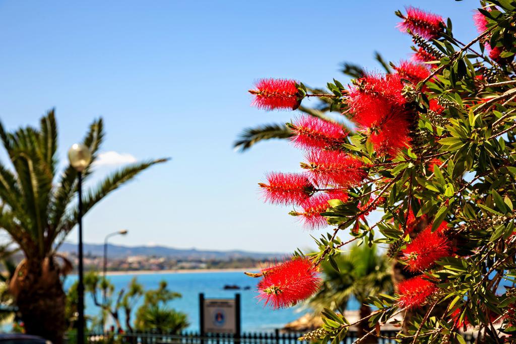 Stam'S Paradise Χανιά Εξωτερικό φωτογραφία